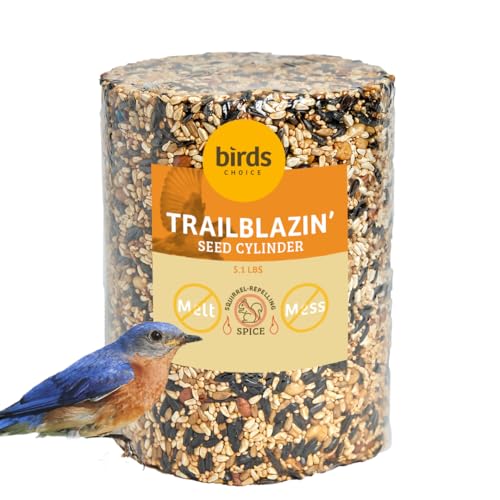 Birds Choice Trailblazin' Spicy Bird Seed | Squirrel Proof Wild Bird Food with Red Pepper | High-Energy Black Oil Sunflower Seeds, Peanuts & Safflower | High Protein & Fat Feeders | 5.1 lbs | Squirrel Resistant Red Pepper Blend of Black Oil Sunflower Seed