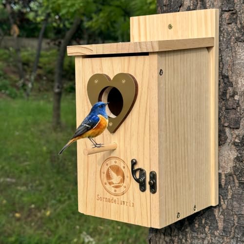 2PC Cedar Bluebird Houses for Outside with Nesting Material | Bird House Outdoor With Copper Guard, Predator Proof Bluebird Houses, Kits for Adults & Kids with Perch & Nesting Material