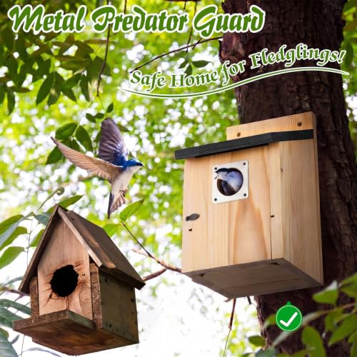 Dreyoo 4 Pack Bluebird Houses for Outside with Metal Predator Guard, 1-1/2" Entrance Hole Wooden Blue Bird Houses for Outdoors, Bluebird Nesting Box(Black Roof, Wood Body) - color: Black Roof, Wood Body