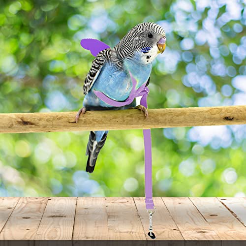 Dnoifne Pet Parrot Bird Harness and Leash, Adjustable Training Design Anti-Bite, Bird Nylon Rope with Cute Wing for Parrots, Suitable for Scarlet, Keck, Mini Macaw and Same Size Birds (Light Purple) - color: light purple
