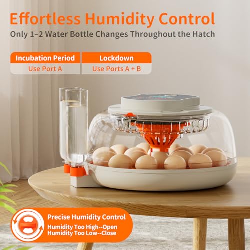 APDOE Egg Incubators for Hatching Eggs, Temperature and Humidity Control, Automatic Egg Turning, Egg Candler, External Water Bottle, Air Vent, for Chicken, Duck & Quail Eggs, 18 Eggs - color: Orange, size: 18 Eggs + 8 Large Eggs