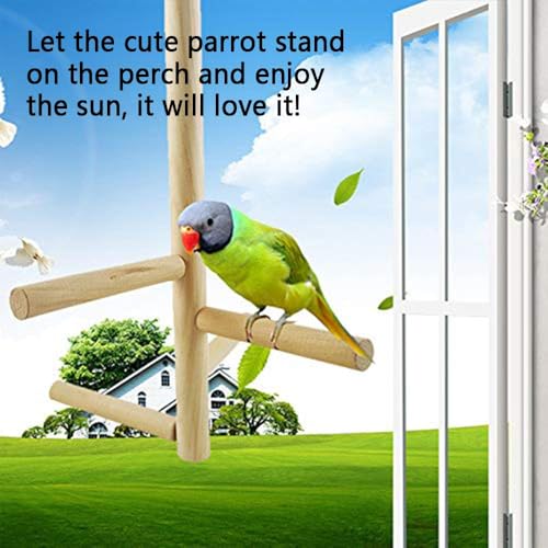 Bird Perch Stand Toy Natural Wood Parrot Perch Parakeet Cage Top Wooden Branches for Standing Toys for Small Medium Parrots Conure Budgie Lovebirds
