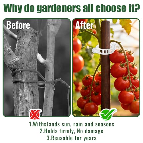 300Pcs Thickened Tomato Clips, Plant Support Clips Plastic Trellis Clips | Plant Clips for Grape Vine, Tomato Vine, Vegetable Plants, to Grow Upright Makes Plants Healthier, White - color: White