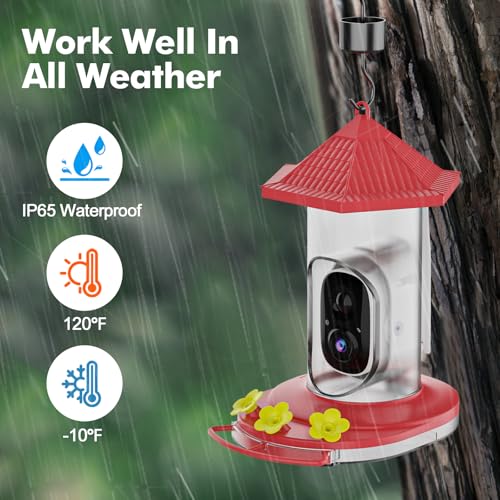 Smart Hummingbird Feeder with Camera, Wireless Bird Feeders | Solar Powered, AI Recognition, Instant Notifications, Feeder for Outdoor, Ideal Gift for Bird Lovers - color: Red