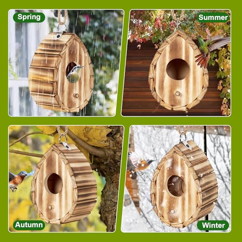 Hummingbird House for Outside - Natural Wooden Birdhouse for Bluebirds, Finches, Cardinals - Small Hanging Bird Nesting Box for Garden, Patio, or Yard - 5.9" D x 4.1" W x 3.8" H
