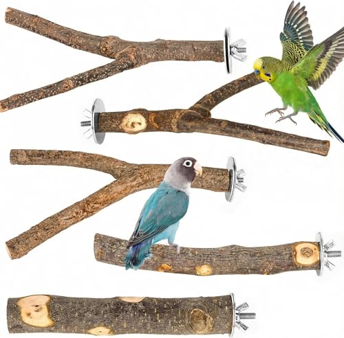 5 Pcs Natural Wood Bird Perch Stand Set for Bird Cages | Ideal for Small/Medium Birds (Budgies, Conures) | Bark Textures for Foot Health | Tool-Free Wing-Nut | Safe Chewing - size: Essential Perch Bundle - 5PCS