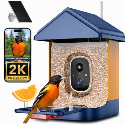 Bird Feeder with Camera, Solar Powered, 2K HD Live Video, Gifts for Men | AI bird recognition and real-time app alerts, built for reliable outdoor use in gardens, patios and backyards.