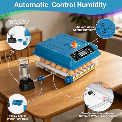 36 Eggs Incubators for Hatching Eggs,Egg Incubator with 4 Auto Incubate Mode, Chicken Incubator with Humidity Display Auto Water Filling,Quail Incubator with Automatic Egg Turning(Blue) - color: Blue, size: 36 Egg