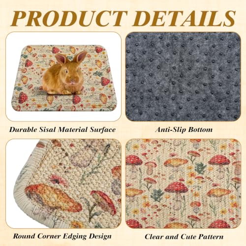 2 Pcs Rabbit Scratch Mats Natural Sisal Bunny Scratch Pads Claws and Teeth Care Rabbit Scratching Mats for Bunny Pet Small Animal Biting Sleeping Nesting Chew Play Toys