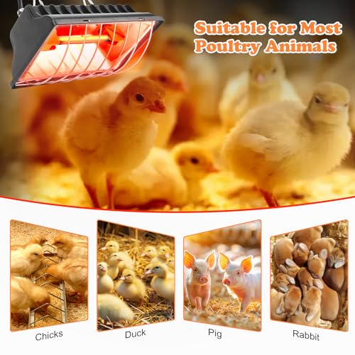 Chicken Coop Heater, Heat Lamp for Chickens, Chicken Coop Heating Lamp Brooder with Two 250W Lamps for Poultry, Livestock & Small Pets