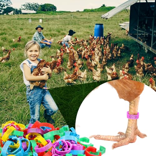 100 Pcs Adjustable Chicken Leg Rings | Multicolor Numbered Chicken Identification Leg Bands, Durable Poultry Leg Bands for Chickens Turkey Goose Ducks