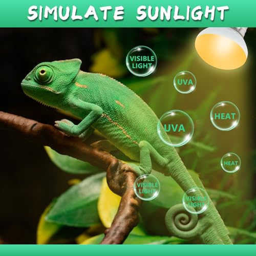 LUCKY HERP Heat Lamp Bulbs, 25W Reptile Heat Lamp 2 Pack Reptile Heat Lamp Bulbs, Daylight Basking Spot Heat Light Bulb, Amphibians Lamp Bulbs fo Chameleons, Snakes, Lizard, Turtle - color: 25-d