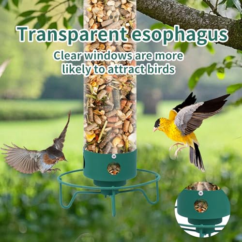 Metal Outdoor Hanging Bird Squirrel Proof Feeder, Equipped with Anti Squirrel Rotating Perch Ring Device, of Tube Bird Feeders On Garden Terraces