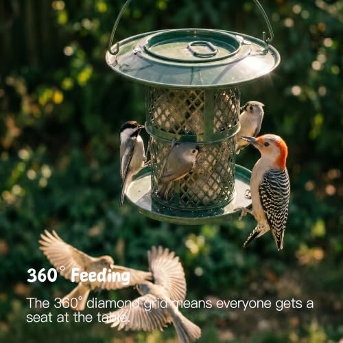 KOL Metal Suet Ball Feeder for Birds – Single-Layer Expandable Design Suet Bird Feeder, Heavy-Duty Wild Bird Feeder with Secure Lid, Large Capacity for Backyard (Jasper) - color: Jasper