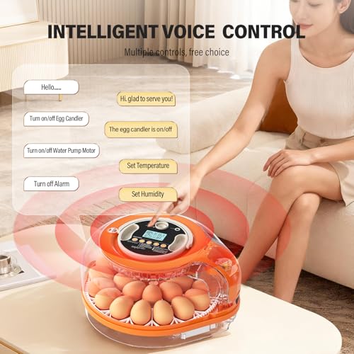 26 Incubators for Hatching Eggs Smart Voice Control Incubator with Auto Temp Humidity Automatic Egg Turning 360° View Built in Egg Candler and Chick Holding Area for Chicken Duck Goose Quail Eggs
