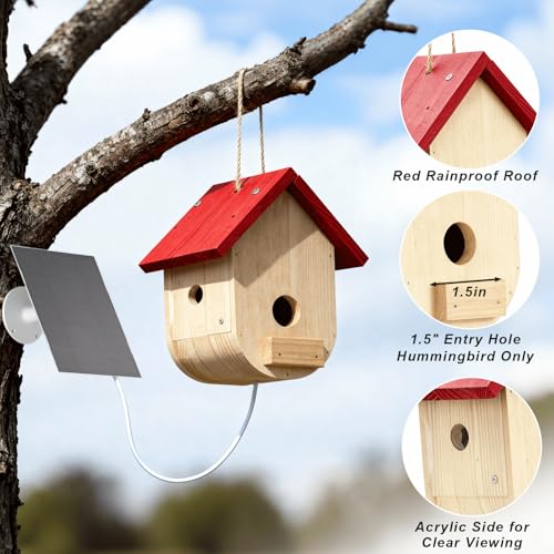 Hummingbird House with Camera Solar Powered - style: Smart Hummingbird House