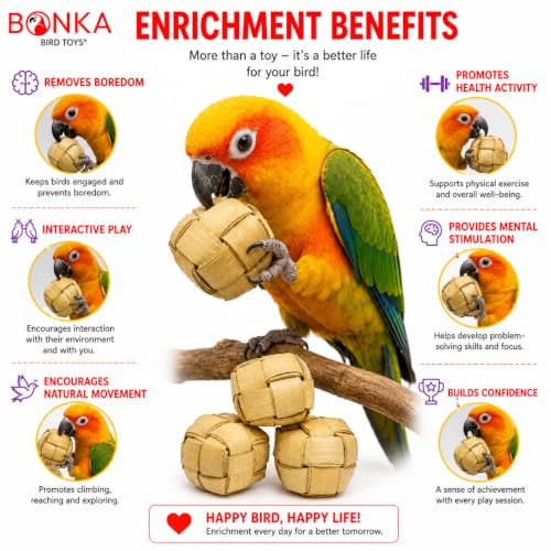 Bonka Bird Toys 1256 Pk3 Mini Palm Leaf 1.50" Square Boxes, Medium Parrot Forage Chew Foot Talon Cage Toys, African Grey, Conure, Pionus, and Similar Birds