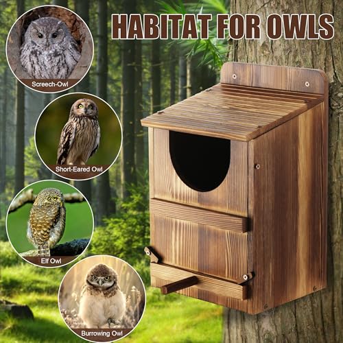 Owl House, Barn Owl Nesting Box with Bird Stand and Wood Shavings, Large Wooden Screech Nesting Box for Outside, Nest Box for Wild Birds, Barn, Screech, Eagle, 1 Set