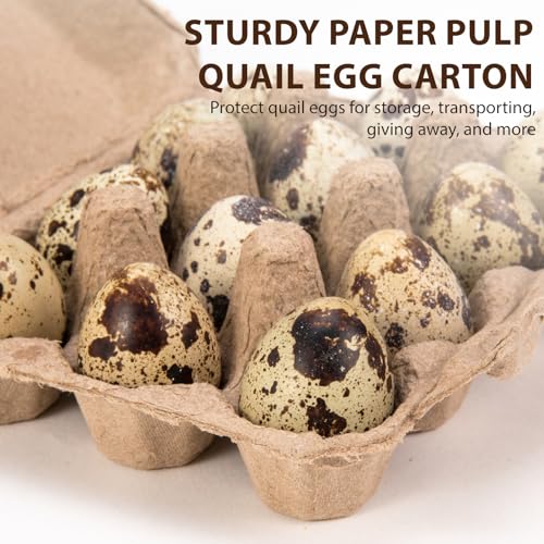 50 Pack Quail Egg Cartons, 3x4 Style Paper Pulp Quail Egg Trays, Sturdy & Reusable Quail Egg Holder 12 Count Dozen Quail Egg Storage Tray for Farmers, Home Use & Transport - style: 50Pcs Quail Egg Carton