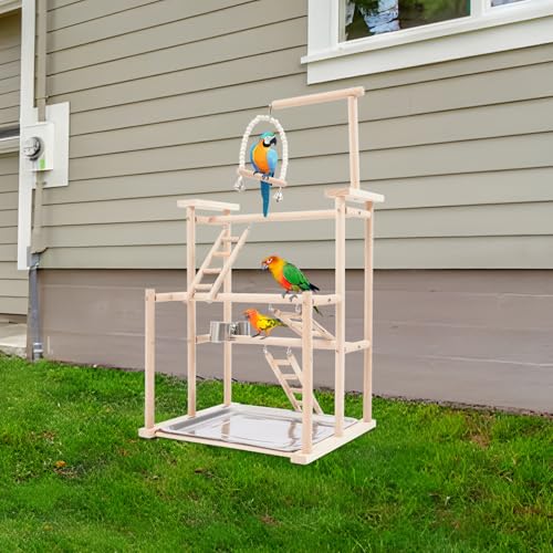 Premium Parrot Play Stand - Large Bird Gym Activity Center for Macaws, Cockatoos, African Greys, Indoor Outdoor Playground
