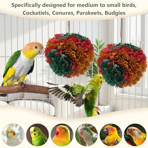 Hypeety Bird Shredding Chew Toy Cage Natural Foraging Shredder Balls, 2pcs | Funny crinkles foraging toys, easy to hang, 4” colorful ball, for cockatiel/conure/parakeet/budgie, fits most cages, 2 pack - color: 2 packs