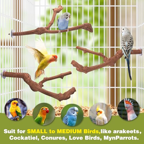 3PCS Bird Perch Natural Grape Stick Chewable Bird Stand Paw Grinding Branches Toy Cage Accessories for Small Budgies Cockatiels Lovebirds