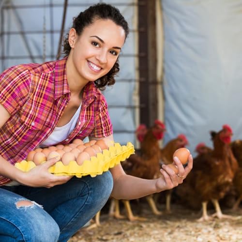 18 Flats 30 Cell Egg Crate?Holds 30 Eggs?, 30 grids Cardboard Egg Cartons, Sturdy and Stackable Egg Flats, Perfect Egg Crates for Fresh Eggs, Chicken Farm - size: 18 Pack yellow