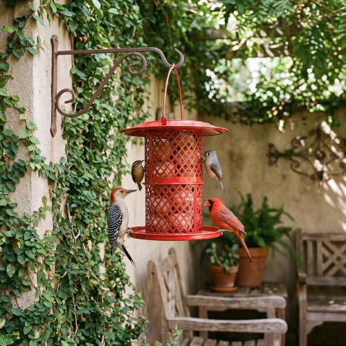 KOL Metal Suet Ball Feeder for Birds – Single-Layer Expandable Design Suet Bird Feeder, Heavy-Duty Wild Bird Feeder with Secure Lid, Large Capacity for Backyard (Red) - color: Red