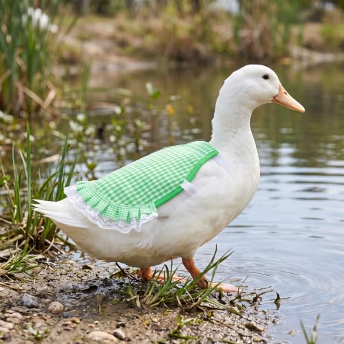 6Pcs Chicken Saddle Apron Lace Poultry Apron for Small Chickens | Breathable canvas fabric,adjustable elastic straps,full feather protection,fit small medium hens,smooth scratch-proof edges - color: Sweet Fruit & Plaid Series