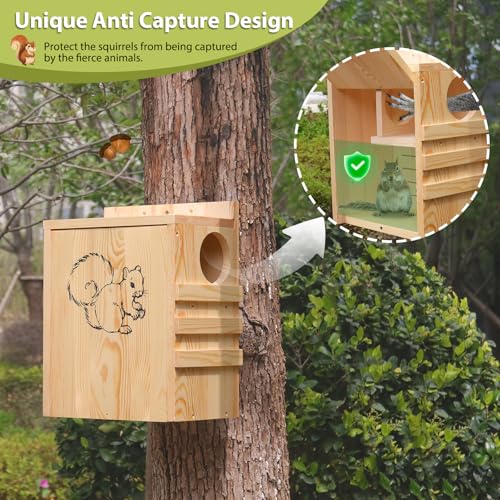Large Squirrel House for Outside, Wooden Squirrel Box with Predator Guard | Squirrel Nesting Box for Squirrels and Chipmunks, with Internal and External Climbing Ladders, 4 Corner Drainage Holes - size: Large: 8"wide