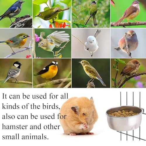 Kathson 2 Pack Bird Feeding Dish Cups, Stainless Steel bird bowls Parrot Feeders Water Cage Bowls with Clamp Holder Bird Feeders for Parakeet Cockatiels Conure Budgies Lovebird Finch and Small Animals