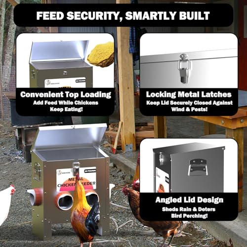 Metal Chicken Feeder Large Capacity 25lbs Automatic Metal Chicken Feeders No Waster Weatherproof Poultry Feeder for Chickens, Geese, Ducks, Turkeys (4-Port) - style: 25lb Feeder with 4 Ports