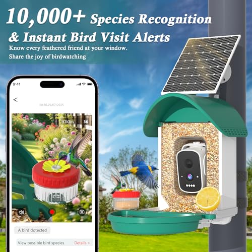 Bird Feeder with Camera, 3K Smart Bird Camera with AI Identification & Bird Bath, Solar Powered Wireless Outdoor Bird House with Spill-Proof Net, Ideal Backyard Bird Watching Gift to Bird Lovers - color: Dark Green