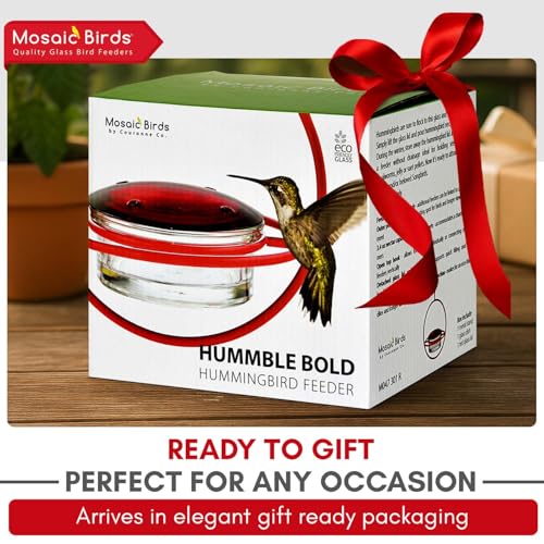 Hummingbird Feeder for Outdoors Hanging, 3.4 OZ Hummingbird Feeders, Glass Bowl with 4 Feeding Ports, Leak Proof Lid & Circular Perch, Bird Feeder (1, Red) - color: Red
