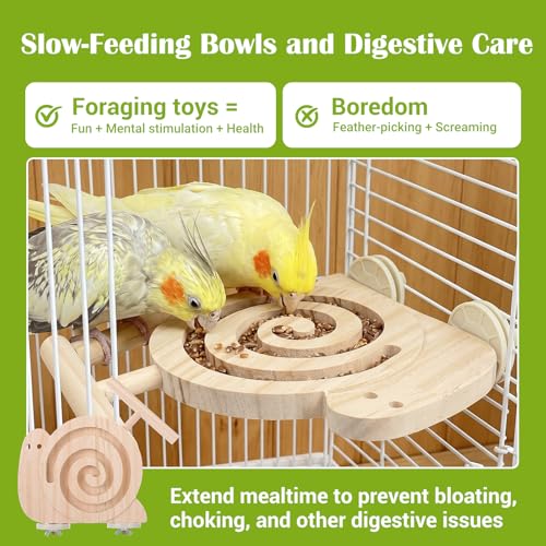 Bird Foraging Toys with Perch - Wooden Foraging Toys for Birds | Visible Slow Feeder Cage Accessories for Parakeets Cockatiels Budgies and Small Parrots