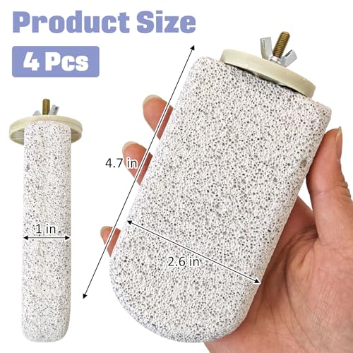 BNOSDM 4 Pcs Bird Beak Grinding Stone Calcium Parrot Perch Stand 4.7*2.6in - color: 4 Pcs- White (L)