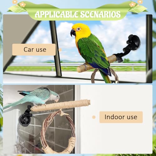 La La Pet Suction Cup Bird Perch Swing and Ring Set Sucker Bird Standing Rack Multifunctional Wooden Parrot Toy for Small and Medium Birds Cockatiel Parakeet Lovebirds Medium