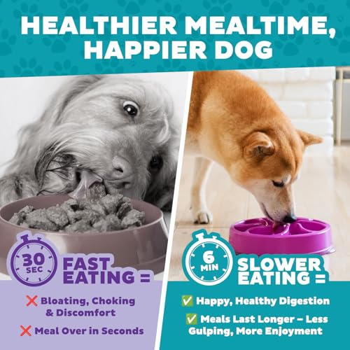Outward Hound Fun Feeder Slo Bowl – Medium 2‑Cup Capacity,Slow Feeding,Small to Medium Dogs & Cats,Non-Slip,Purple,Flower Pattern,(Pack of 12) - color: Purple, size: Medium (Pack of 12)