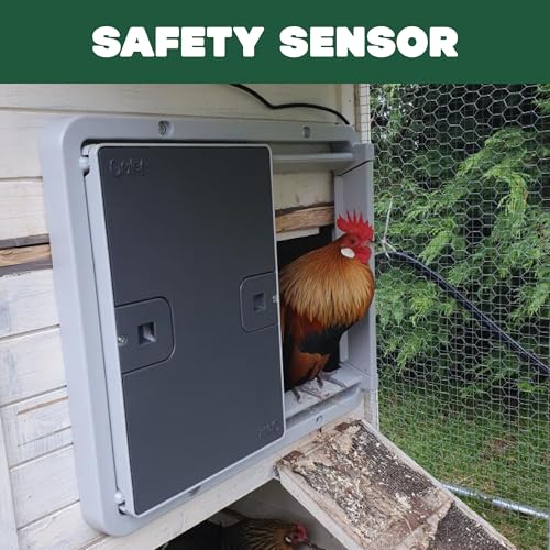 Omlet Automatic Chicken Coop Door Opener | Operated by Light Sensor or Timer | Easy to Install, No Maintenance Required | Improves Coop Security and Insulation | Built-in Safety Sensors | Grey - color: Grey