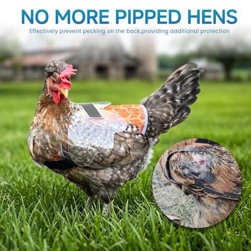 Chicken Saddles for hens with Wing | Chicken Apron Back Protector for Hens With Adjustable Strap, Chicken Hen Mating Saddle (Black, white, yellow) - color: Black, white, yellow