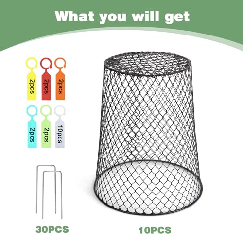10 Pcs 6.8"×7.4" (Multiple Sizes/Quantities Available) Seedling Plant Protectors from Animals, Chicken Wire Plant Cage Garden Cloche to Protect Plants Vegetables from Rabbits Squirrels Chicken - size: 6.8"×7.4"