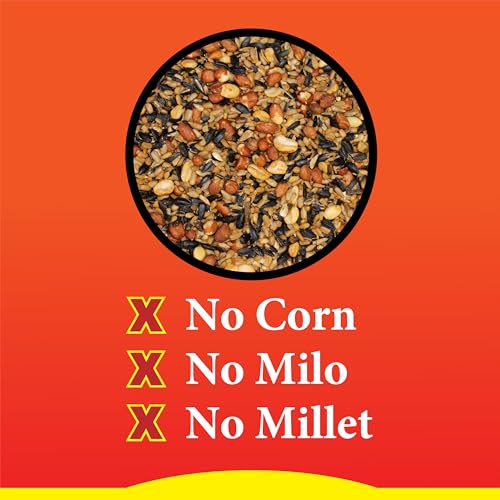 Wild Delight Sizzle N' Heat Wild Spicy Bird Seed to Deter Squirrels | No fillers, corn, milo, millet. Premium ingredients make up this hot bird seed squirrel proof. Attract the extraordinary - size: 5 Pound (Pack of 1), style: Sizzle N' Heat 5lb
