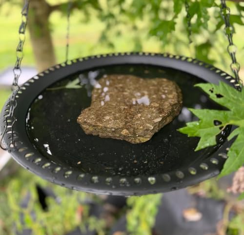 Hanging Bird Bath Bird Feeder 12 inch, 2 Pack Birdbath Tray for Garden Yard Outside, Brown - color: Brown, size: 12 inch 2pcs