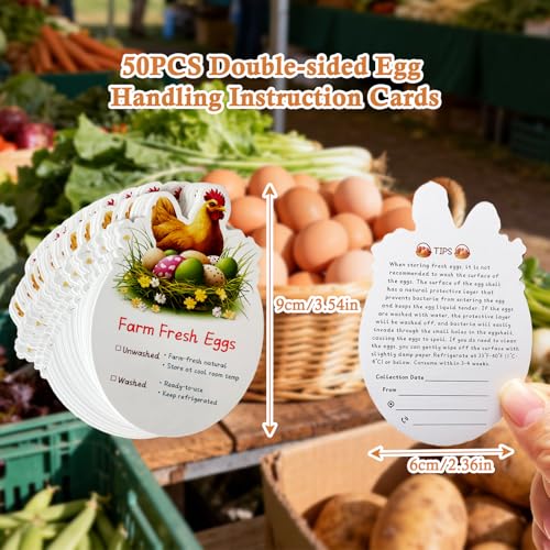 Plastic Goose Egg Cartons Cheap Bulk Empty Clear Large Duck Eggs Tray Holders Box for Farm Reusable Storage Container (20, 2×5)