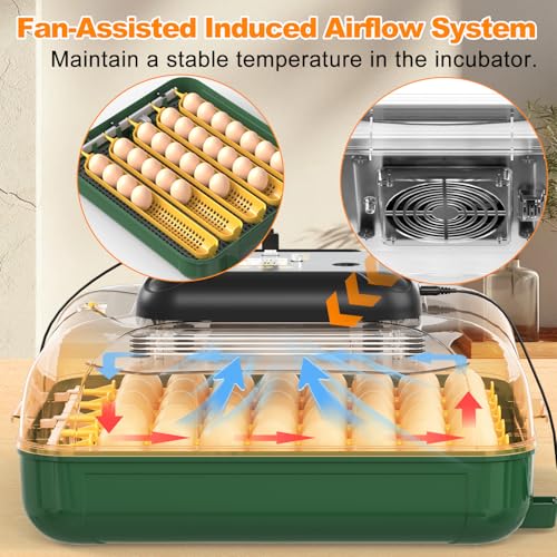 30 Egg Incubator for Hatching Eggs with Auto Egg Turning, High Precision Temperature & Humidity Display, Hatch Day, Egg Candler, Upgraded Motor, Incubator for Hatching Chickens, Higher Hatch Rate