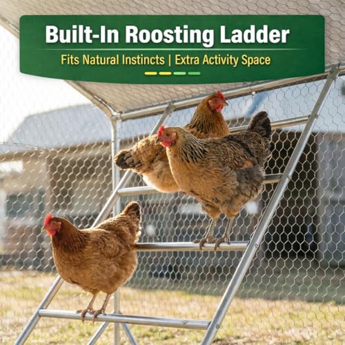 Heavy Duty Metal Chicken Coop with Hardware Cloth (NEW-118.01L x 157.99."W x 80" H) - size: 78.0"L x 78.0"W x 118.0"H