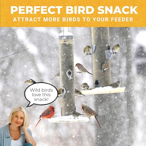 Nature Anywhere Mighty Mealworm | meal worms for wild birds and laying hens, about 52% protein, SGS lab tested, single ingredient, no fillers, resealable