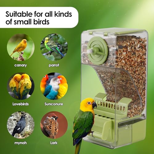 Bird Feeder No Mess 2PCS Automatic Clear Bird Seed Food Container Acrylic Parrot Feeder Dispenser Cage Accessories for Parakeet Budgies Cockatoo Canary Love Bird (Green) - color: Green