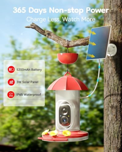 Solar Hummingbird Feeder with Camera for Outdoors, 2K Smart AI | 2K live video smart bird camera, AI species identification, Ant & bee proof, 3 feeding ports, Ideal gift for bird lovers
