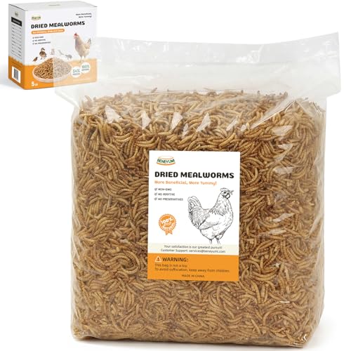 Dried Mealworms 5LB, 100% Natural High-Protein Chicken Treats & Wild Bird Food, Non-GMO Meal Worms for Laying Hens, Ducks, Bluebirds, Reptiles, Hamsters - size: 5 Pound (Pack of 1)